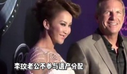 向二姐前夫爆料视频大全,真相与争议交织