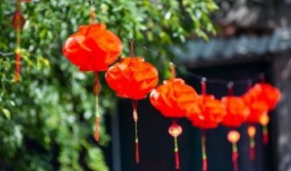 家有四喜在线观看,温馨家庭喜剧的欢乐时光