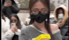 辽宁吃瓜最新事件爆料视频,揭秘幕后真相，视频爆料引热议